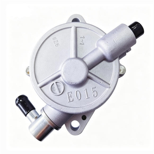 Vacuum Pump  29300-78080 for Toyota Dyna Hino 300 W04D WU302 WU342